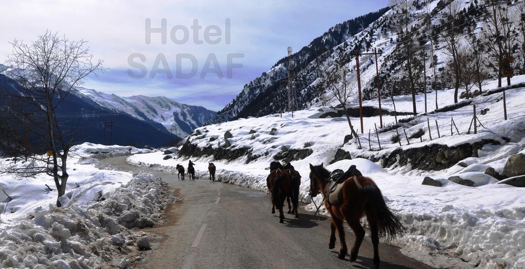 Hotel Sadaf Srinagar  Luaran gambar